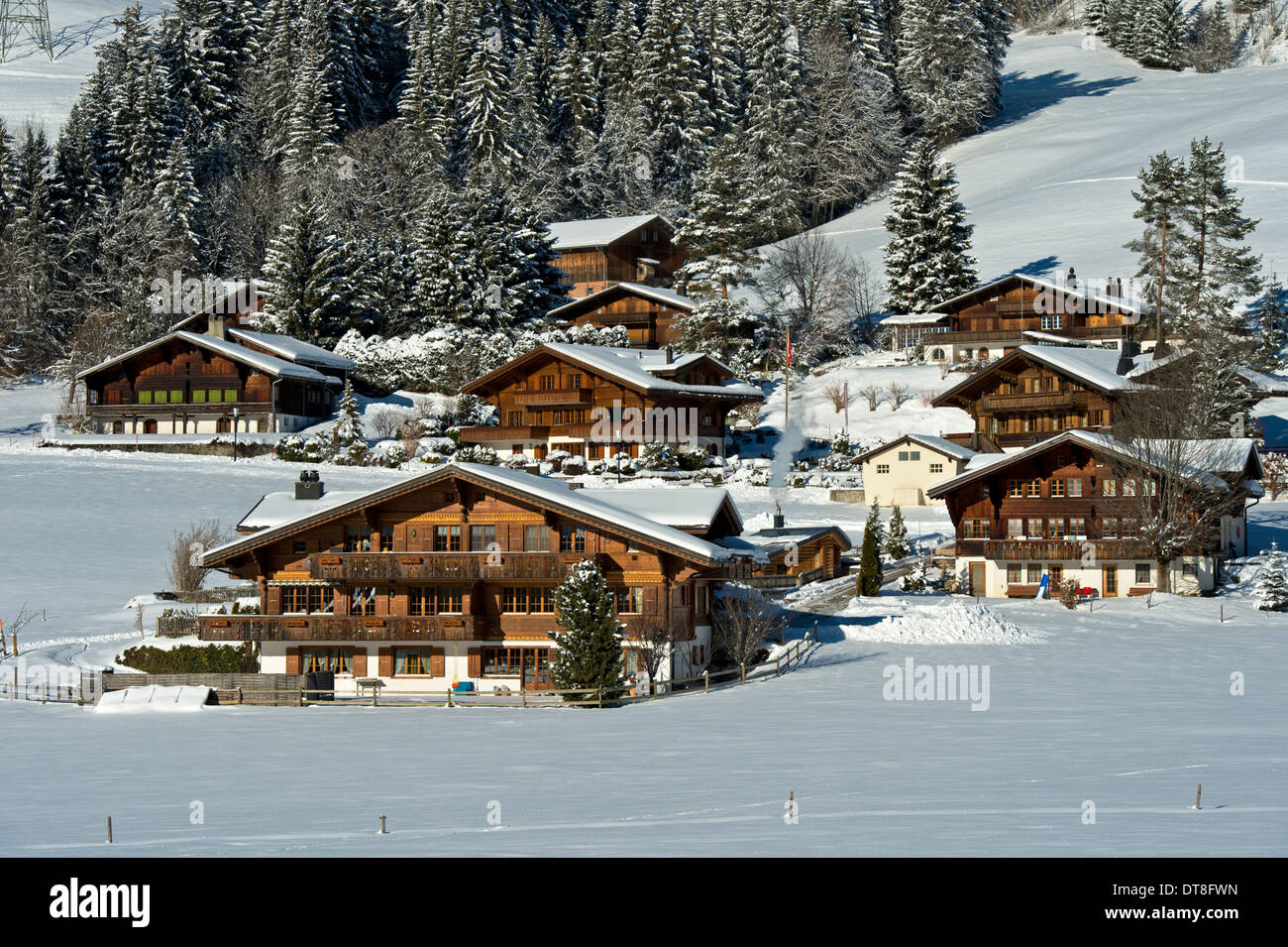Chalet svizzeri nel paesaggio winterly del Saanenland, Schoenried, cantone di Berna, Svizzera Foto Stock