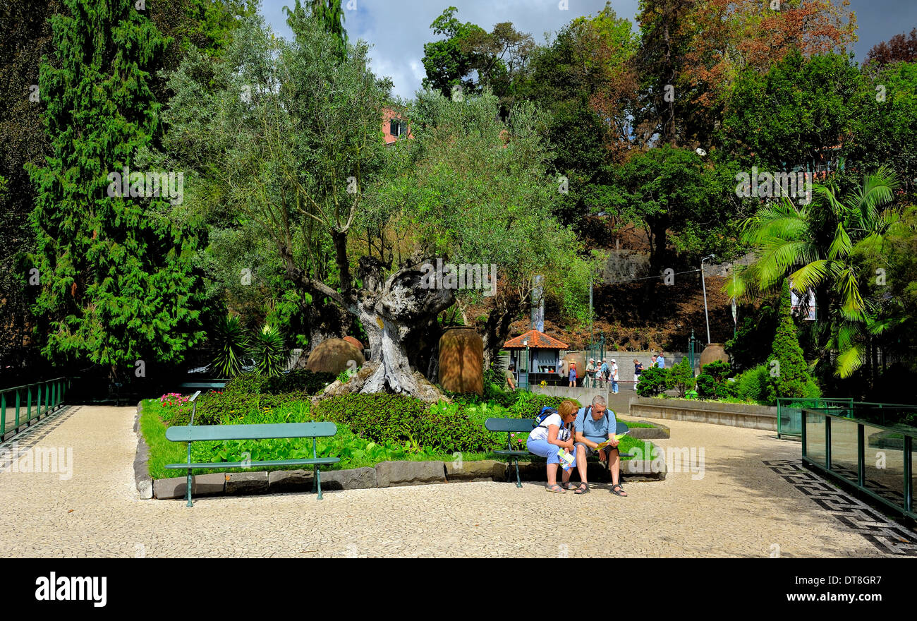 Una coppia di mezza età in seduta il Monte Palace Gardens Madeira Portogallo Foto Stock