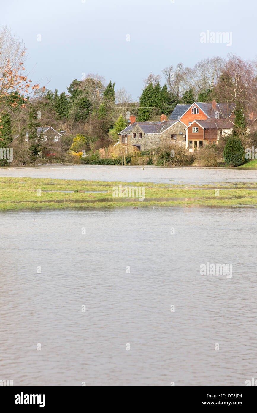 Il fiume allagata teme a Leintwardine, Herefordshire, England, Regno Unito Foto Stock