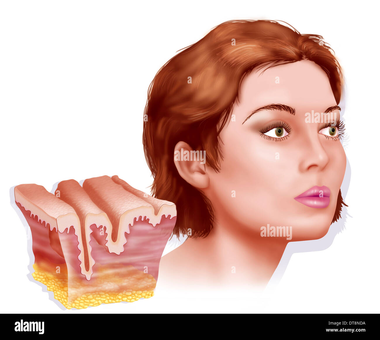 Ruga, disegno Foto Stock