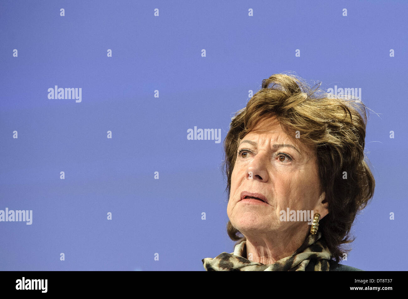 Vicepresidente della Commissione europea responsabile dell'agenda digitale, Neelie Kroes annunciare la dichiarazione sulla governance di Internet a Bruxelles, in Belgio il 12.02.2014 da Wiktor Dabkowski Foto Stock