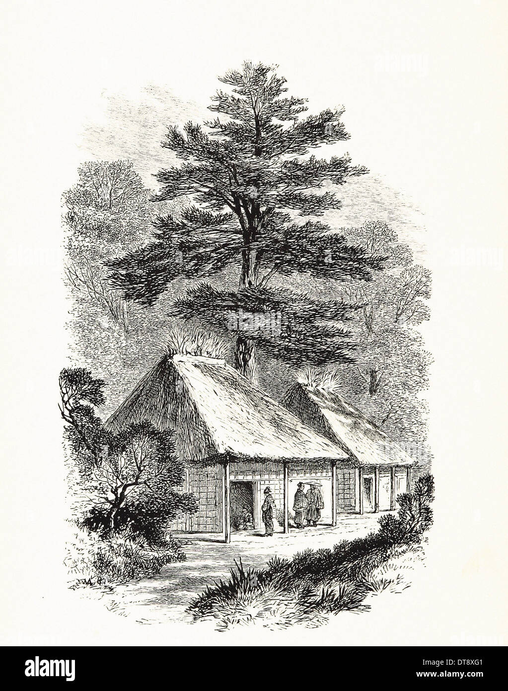 Giappone : Agriturismo vicino a Yedo, con Iris sui tetti - Incisione britannica del XIX secolo Foto Stock