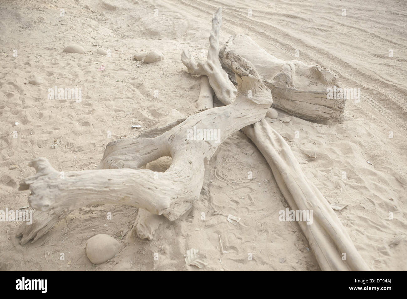 Febbraio 7, 2013 - Chittagong, Chittagong, Bangladesh - appena ad ovest del confine indiano, Jaflong è una cittadina la cui abbondanza naturale è sotto la minaccia. Questa zona rurale ha il potenziale per essere una destinazione di sogno per urban-stanco i turisti che cercano i tranquilli dintorni di lussureggianti foreste e cascate incontaminate. Ma purtroppo non tutto è bene qui. Negli ultimi due decenni, Jaflong il paesaggio è stato sistematicamente distrutto. La vista che potrebbe avere una volta venuto dritto fuori da un artista della tela è in rapida evoluzione. Forse per sempre. Massi sono diventati Jaflong's blight. Con più di un centinaio di sto Foto Stock