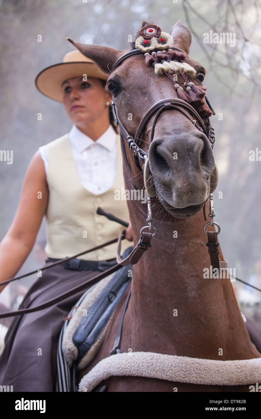 Un cavallo spagnolo-Rider lady indossando il tradizionale andalusa di vestiti. Copyright free. Foto Stock