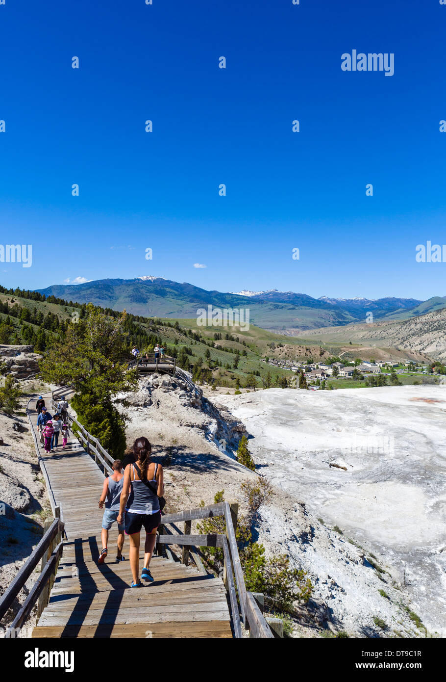 Il Boardwalk accanto alla terrazza principale a Terrazzi Mammoth Hot Springs, il Parco Nazionale di Yellowstone, Wyoming USA Foto Stock