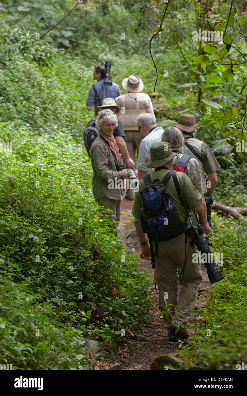 Savegre, San Gerardo de dota. Costa Rica. Eco-turisti portare dalla guida naturalista attraverso la foresta secondaria ri-crescita. Foto Stock