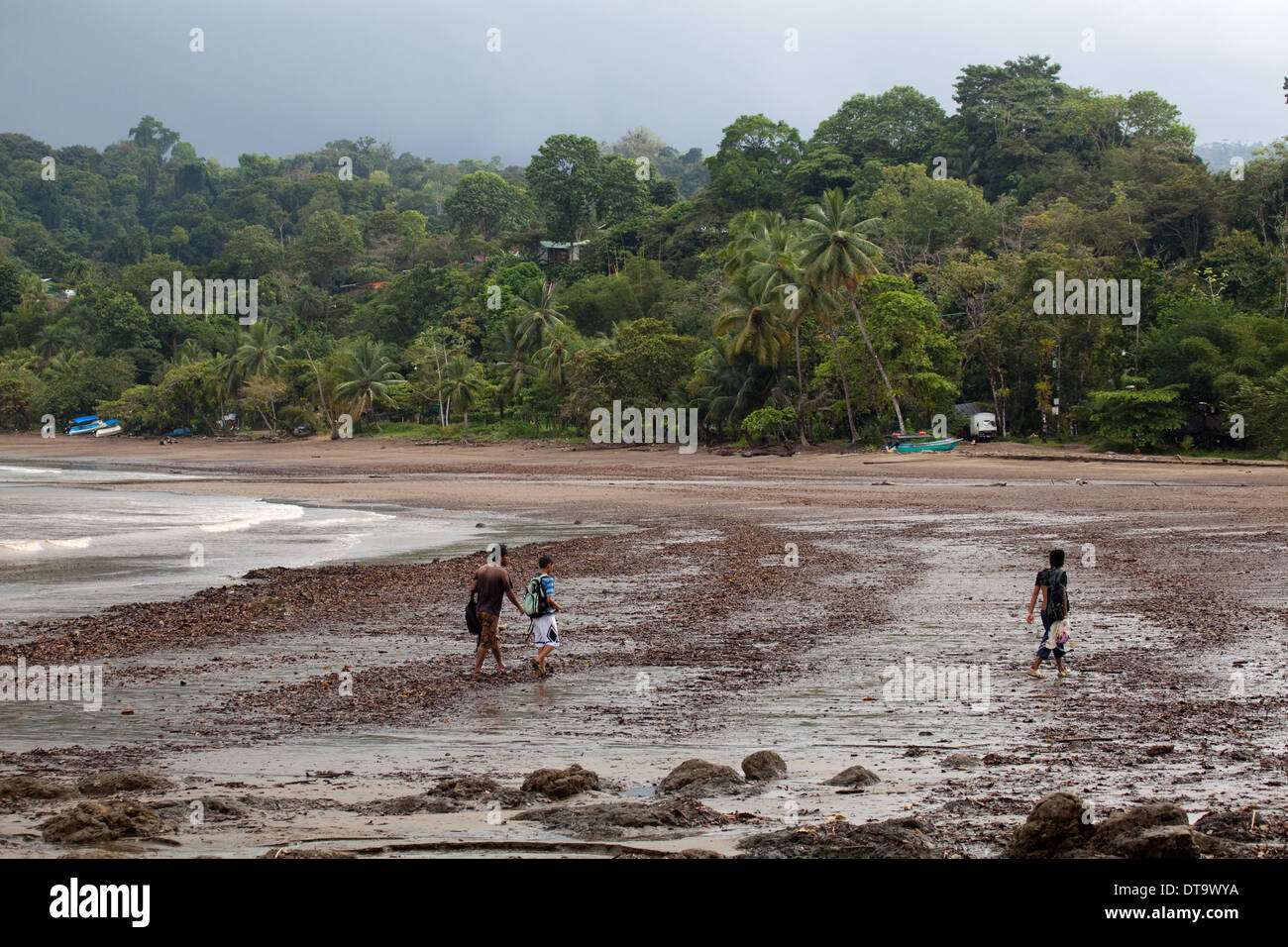 Drake Bay. Bahia Drake. Puntarenas. A sud-ovest della Costa Rica. America centrale. Foto Stock