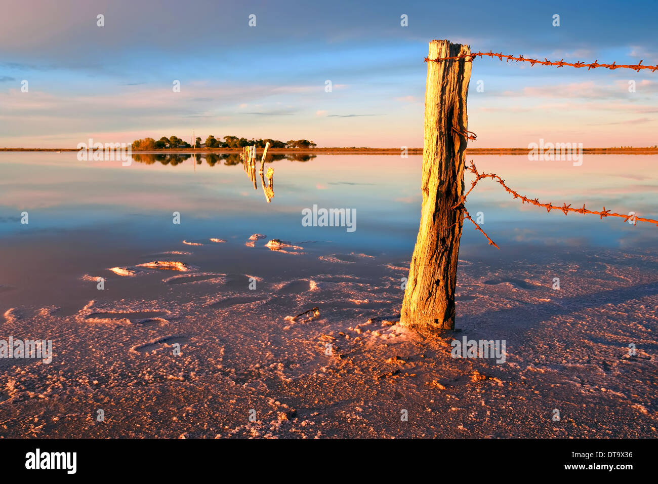 Salina vicino al lago di Alexandrina in Sud Australia Foto Stock