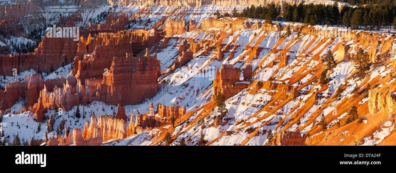 Inverno sunrise nel Parco Nazionale di Bryce Canyon, Utah - USA Foto Stock