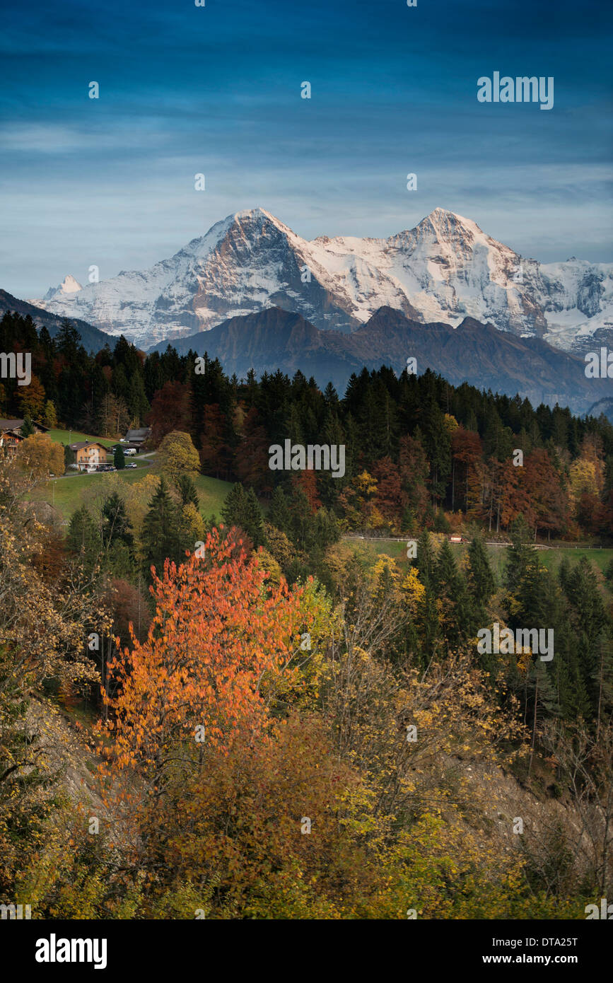 Beatenberg, vista verso la montagna di Eiger, Mönch e Jungfrau, Oberland bernese, il Cantone di Berna, Svizzera Foto Stock