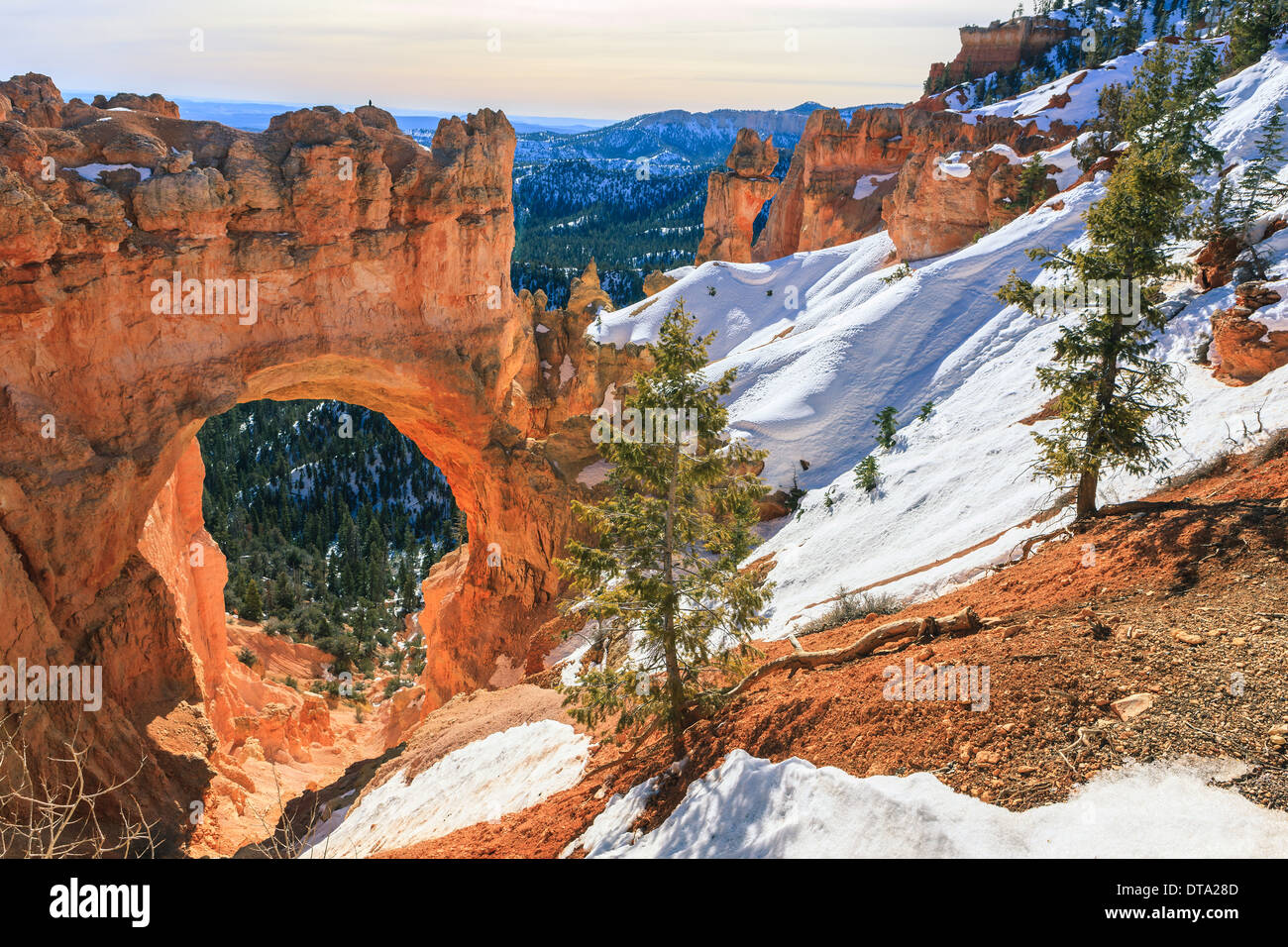 Inverno nel Parco Nazionale di Bryce Canyon, Utah - USA Foto Stock