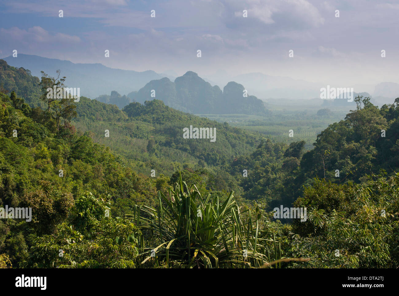 Paesaggio di montagna, Khlong Sok National Park, Ban Khao Ba, Phang Nga, Surat Thani Provincia, Thailandia Foto Stock