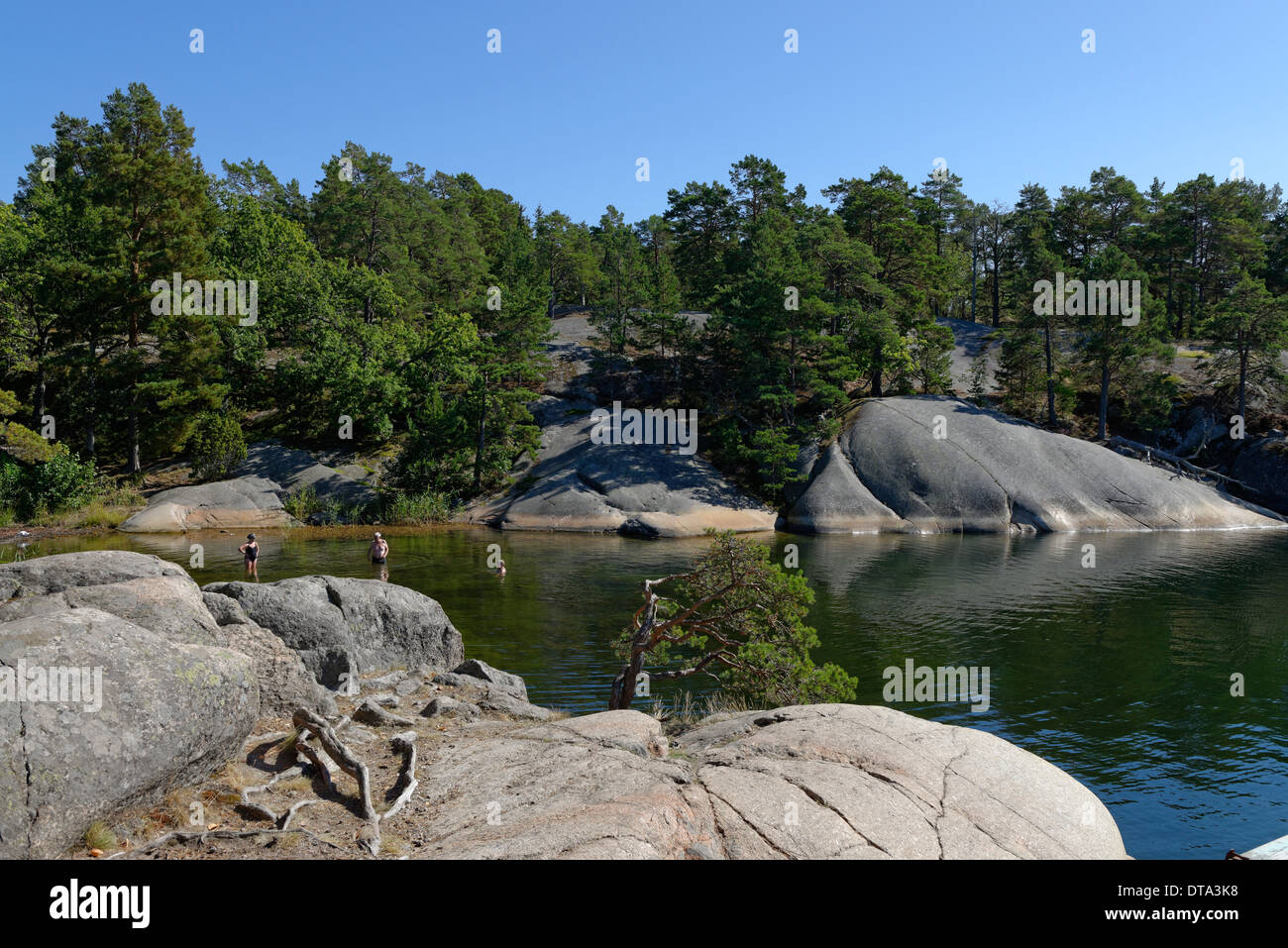 Round tipiche rocce levigate, roches moutonnées, su finhamn isola nel centro di Stoccolma arcipelago, Stoccolma, Svezia Foto Stock