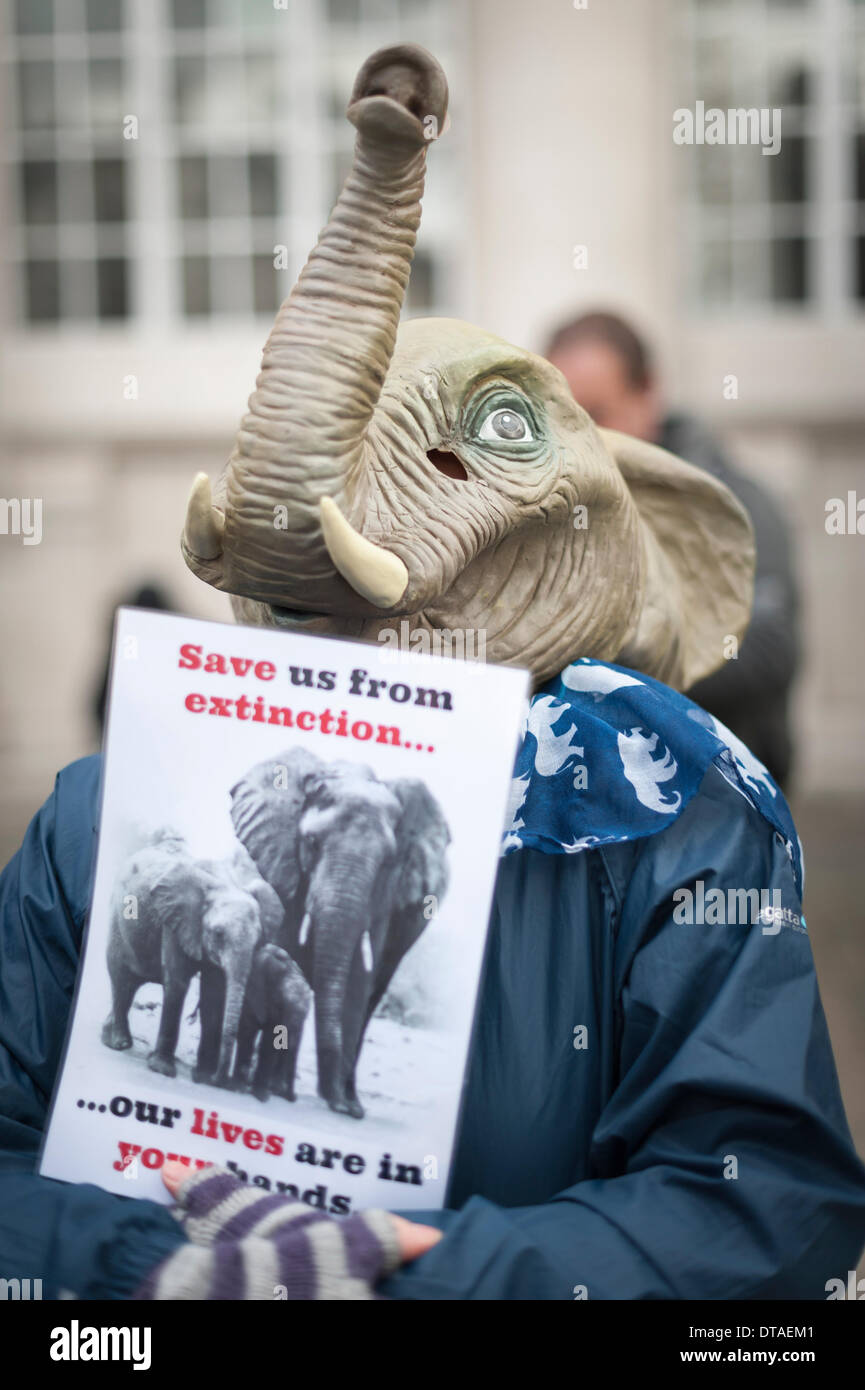 Pall Mall, Londra, Regno Unito. Il 13 febbraio 2014. Azione per gli elefanti per il Regno Unito e la cura per la selvaggia ha tenuto una manifestazione al di fuori del diritto internazionale illegale di fauna selvatica del vertice del commercio a Lancaster House, Londra centrale. Il vertice è frequentato al più alto livello di aziende leader a livello internazionale per data. Credito: Lee Thomas/Alamy Live News Foto Stock