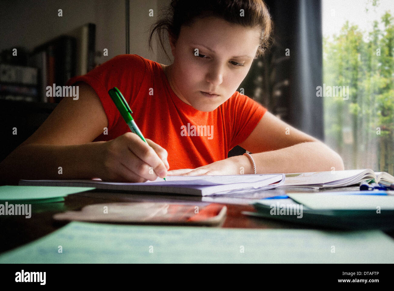 Studente che studia a casa Foto Stock