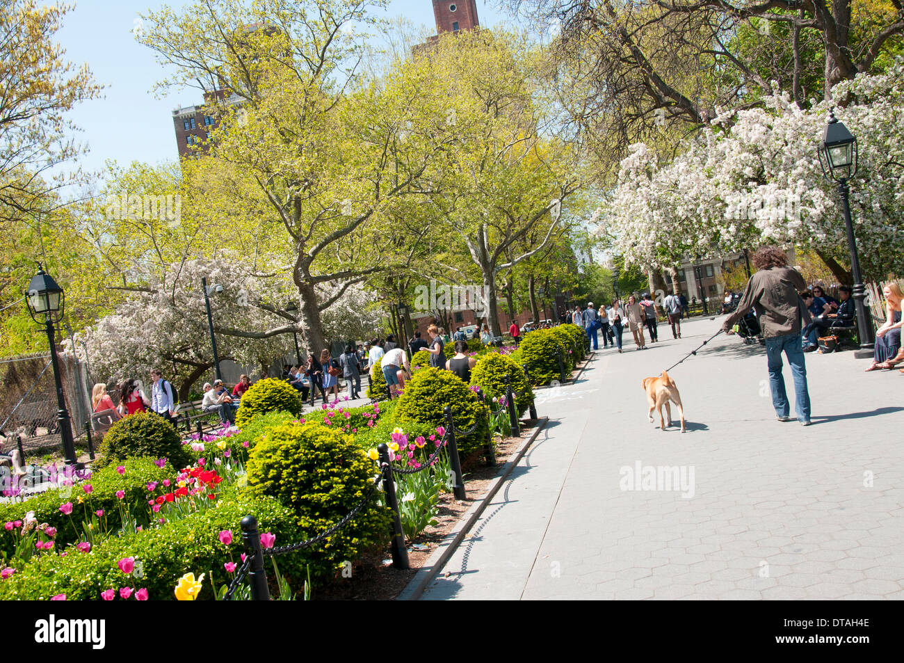 Una soleggiata giornata di primavera a Washington Square Park, Manhattan New York City, Stati Uniti d'America Foto Stock