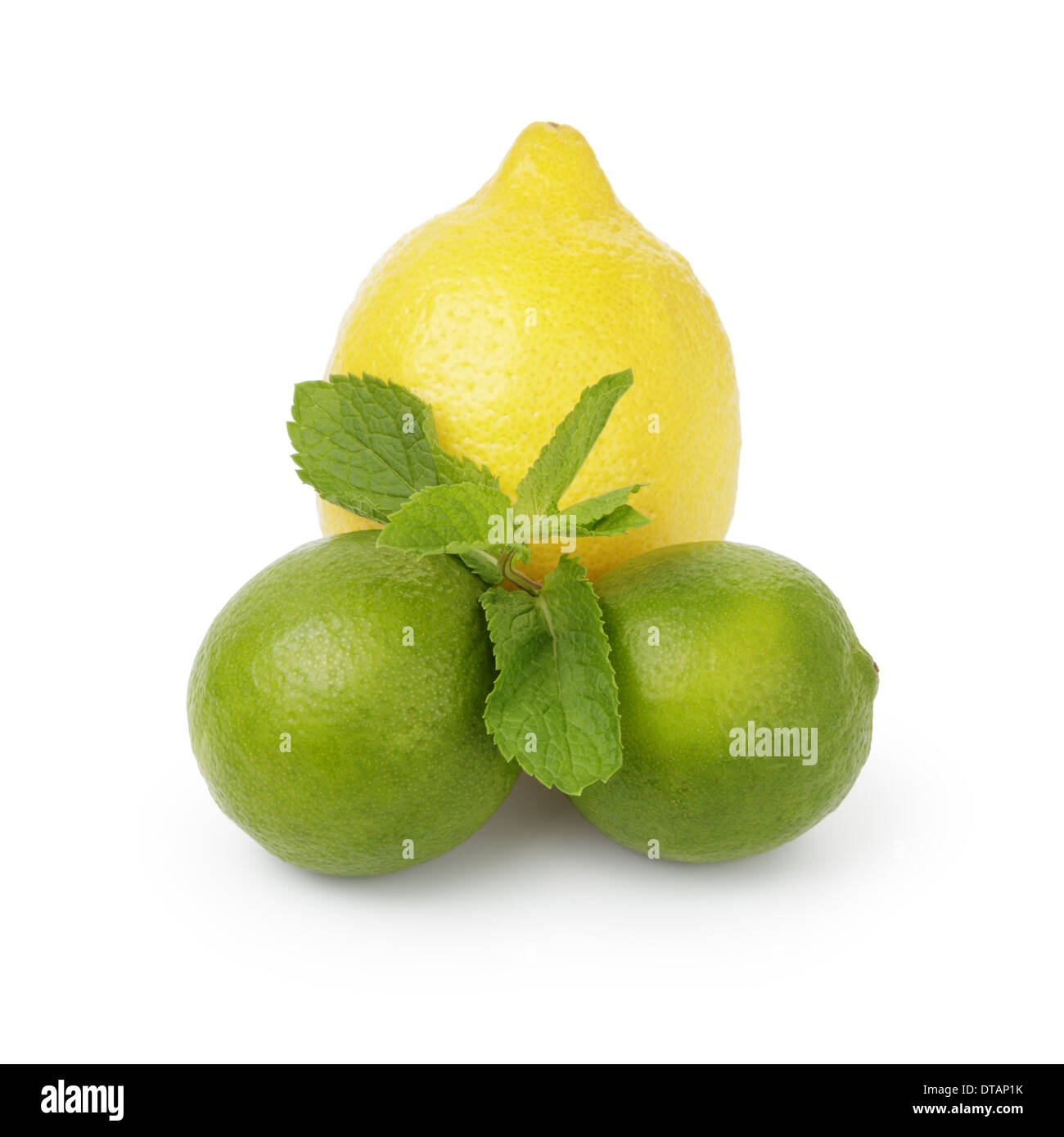 Limone, lime e foglie di menta, isolato su bianco Foto Stock