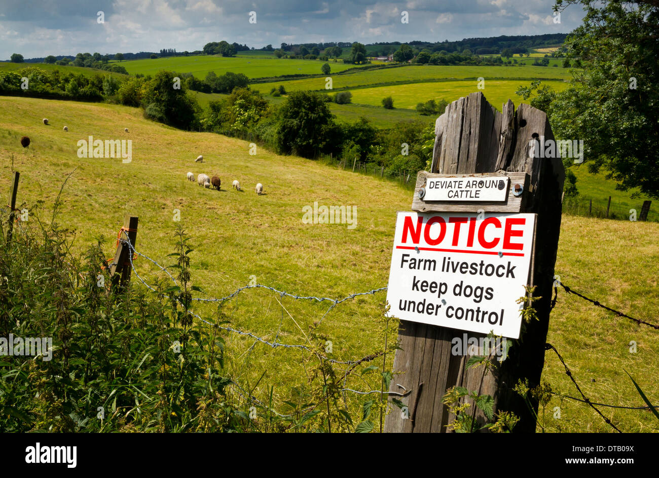 Deviare intorno al bando del bestiame il bestiame d' allevamento cani di mantenere sotto controllo segno attaccato a un post su una farm Inghilterra Staffordshire REGNO UNITO Foto Stock