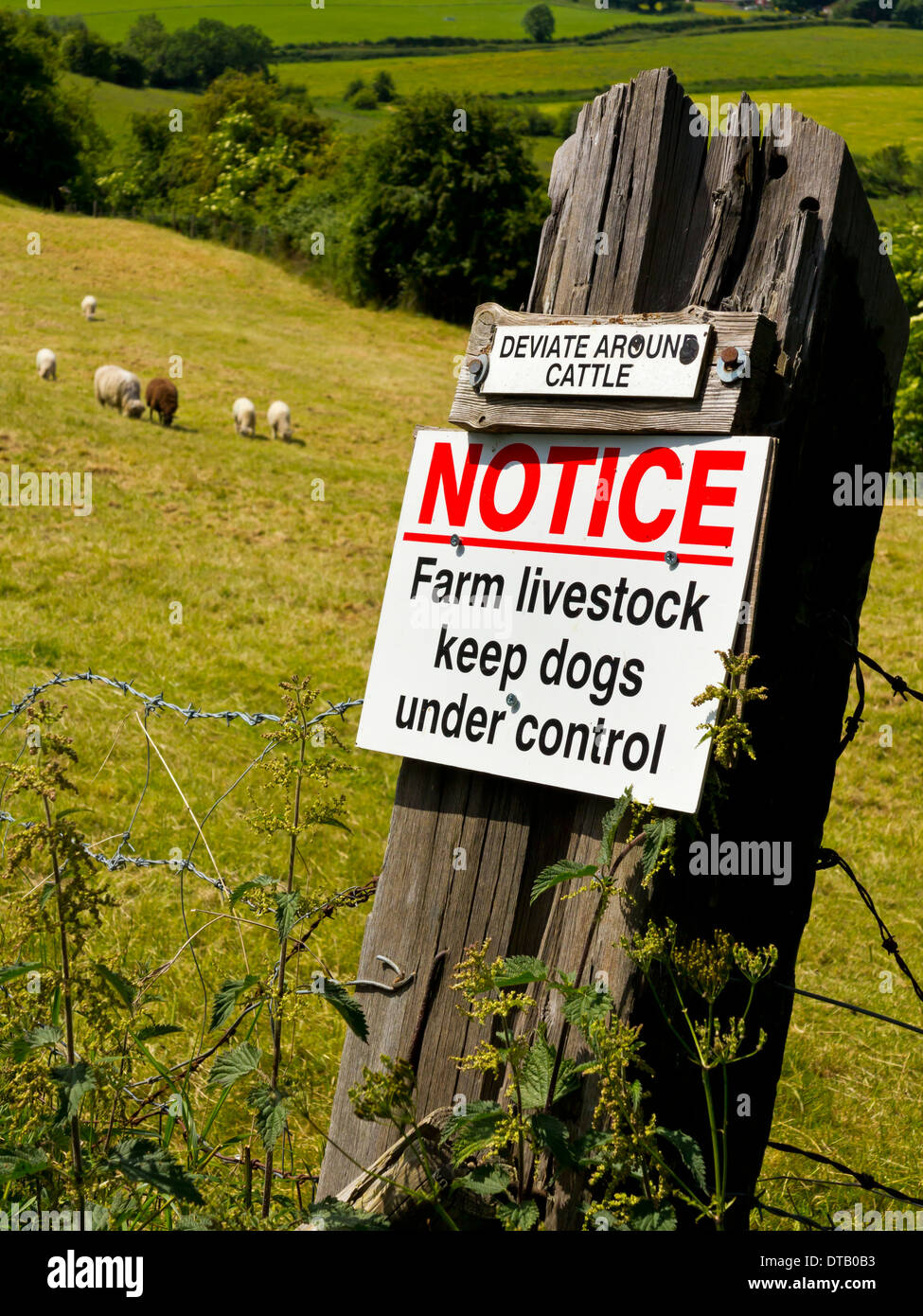 Deviare intorno al bando del bestiame il bestiame d' allevamento cani di mantenere sotto controllo segno attaccato a un post su una farm Inghilterra Staffordshire REGNO UNITO Foto Stock