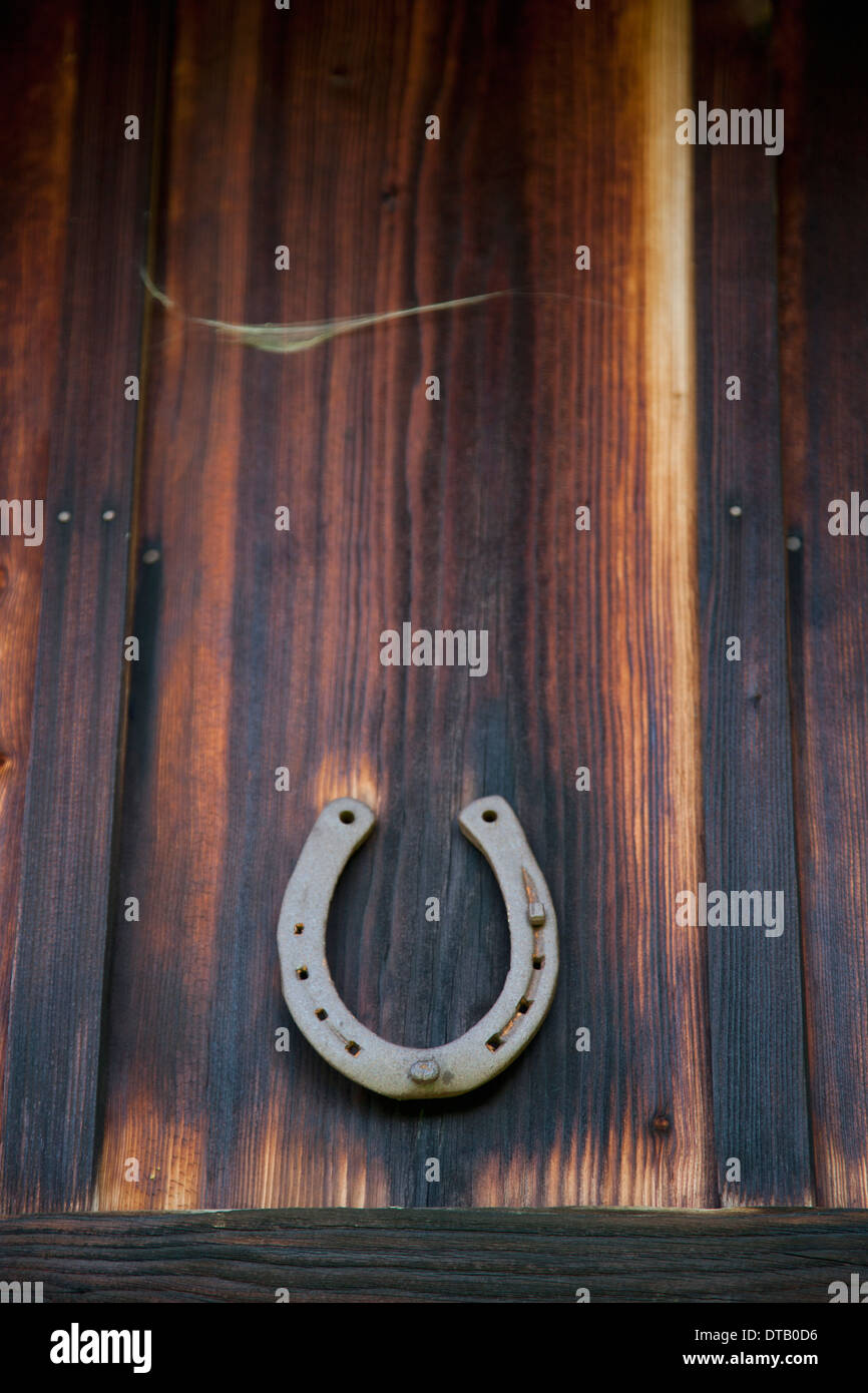 Buona fortuna a ferro di cavallo su legno Foto Stock