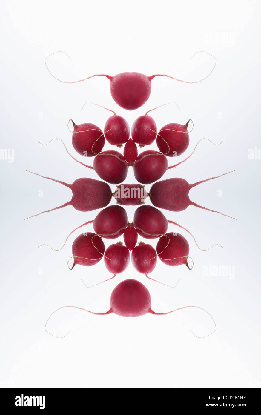 Un composito digitale delle immagini speculari di una disposizione di ravanelli Foto Stock