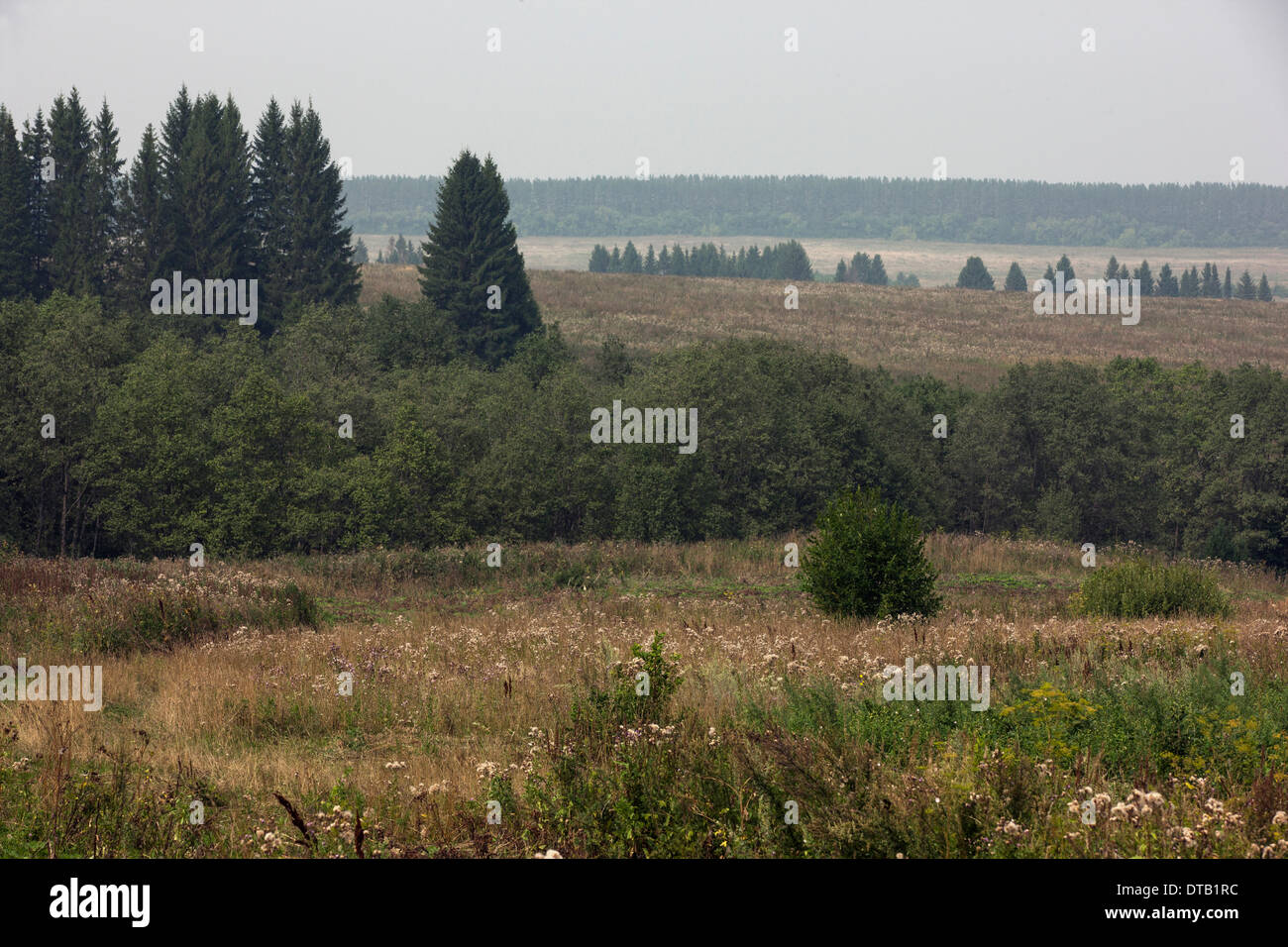 Paesaggio rurale vicino Ludorvai, Udmurtia, Russia Foto Stock