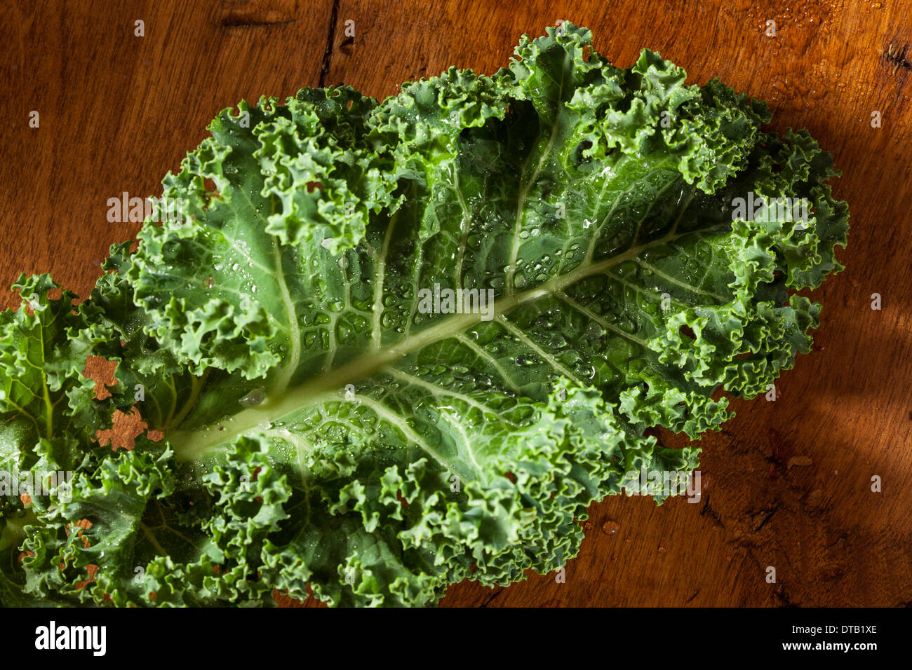 Mazzetto di sano verde crudo Kale vegetali frondosi Foto Stock
