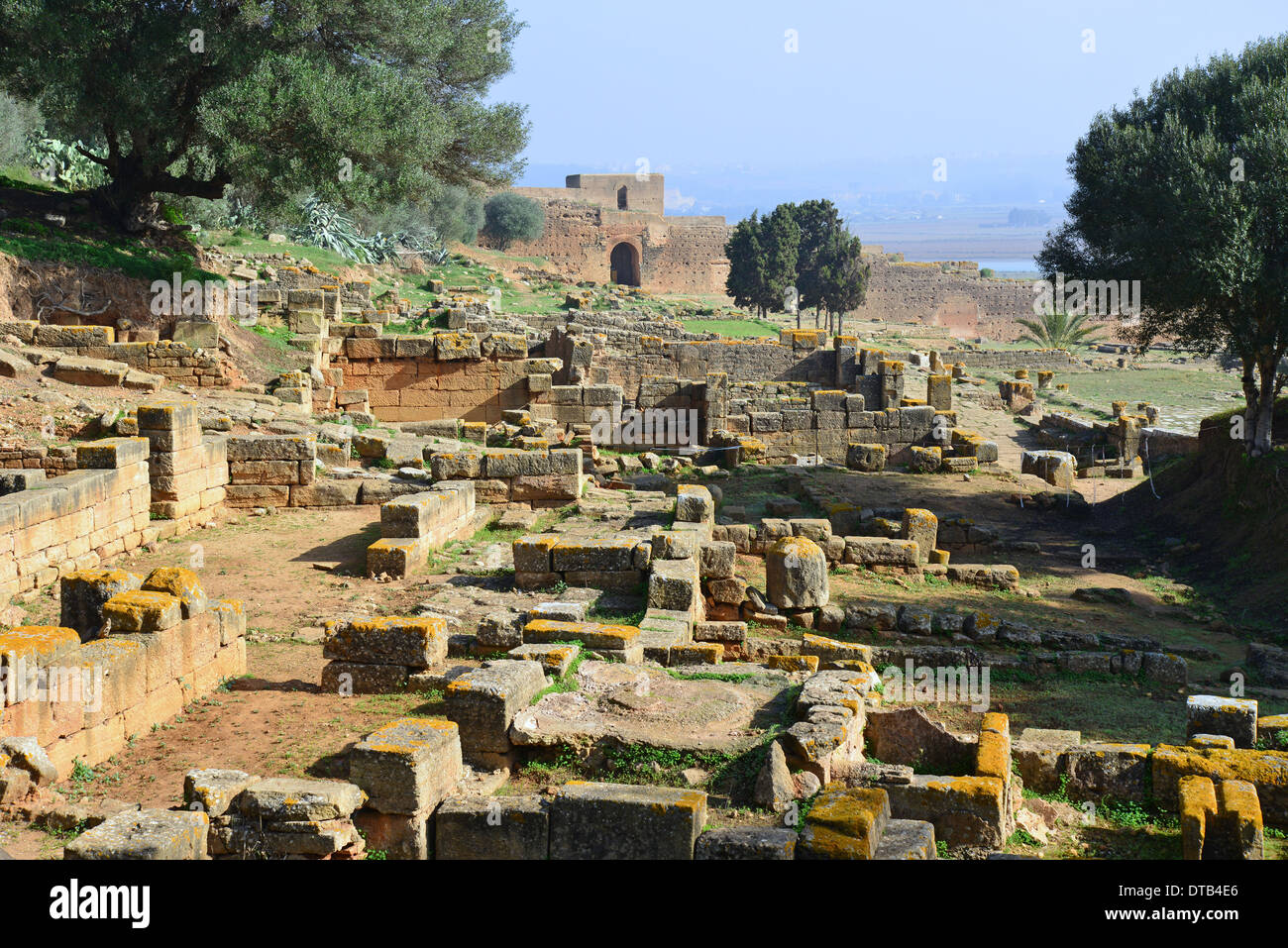 Chellah (Sala Colonia) sito archeologico romano, Rabat, Rabat-Salé-Zemmour-Zaer regione, il Regno del Marocco Foto Stock