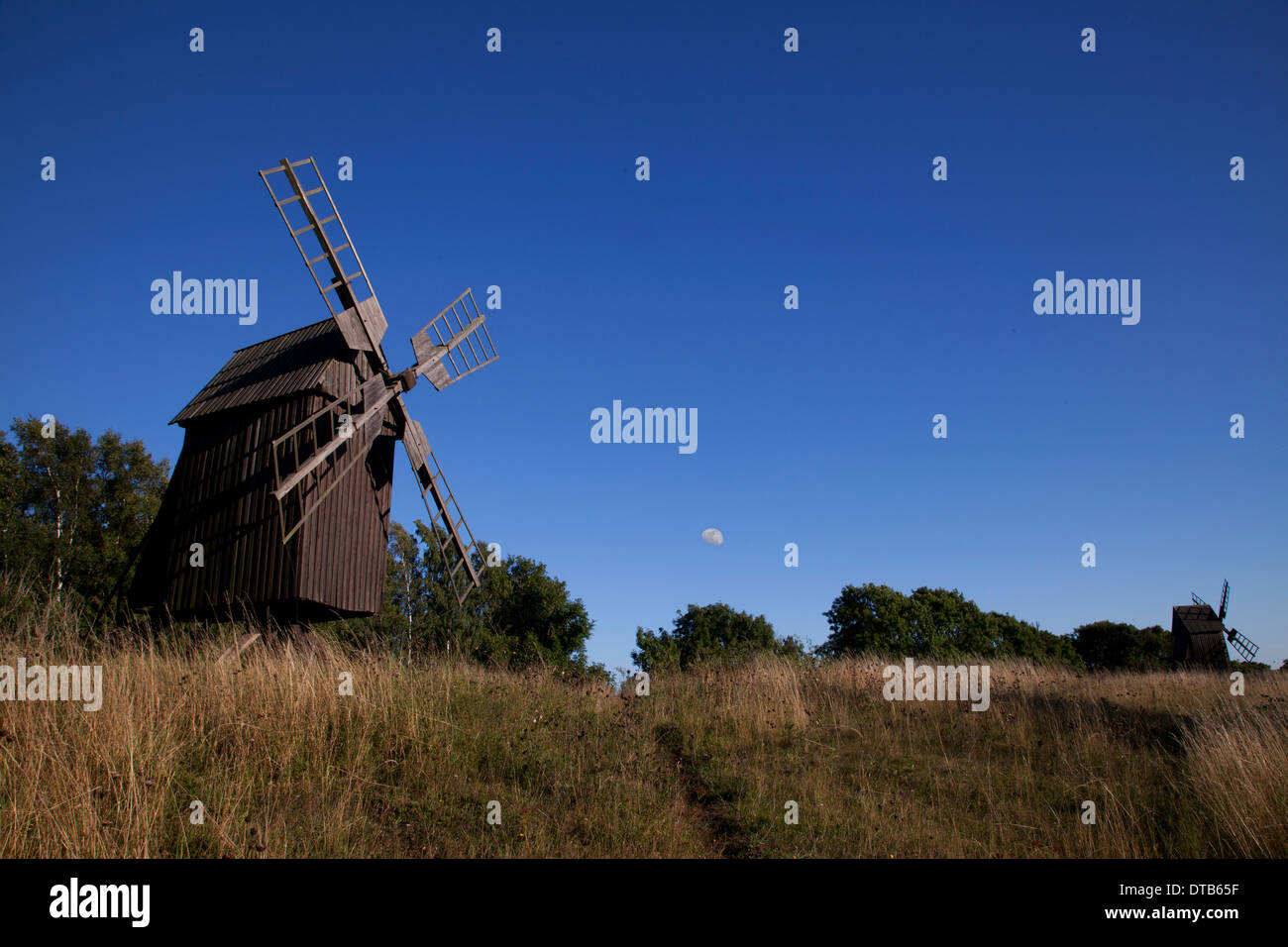 Vecchio mulino a vento e campo di erba, Oland, Svezia Foto Stock