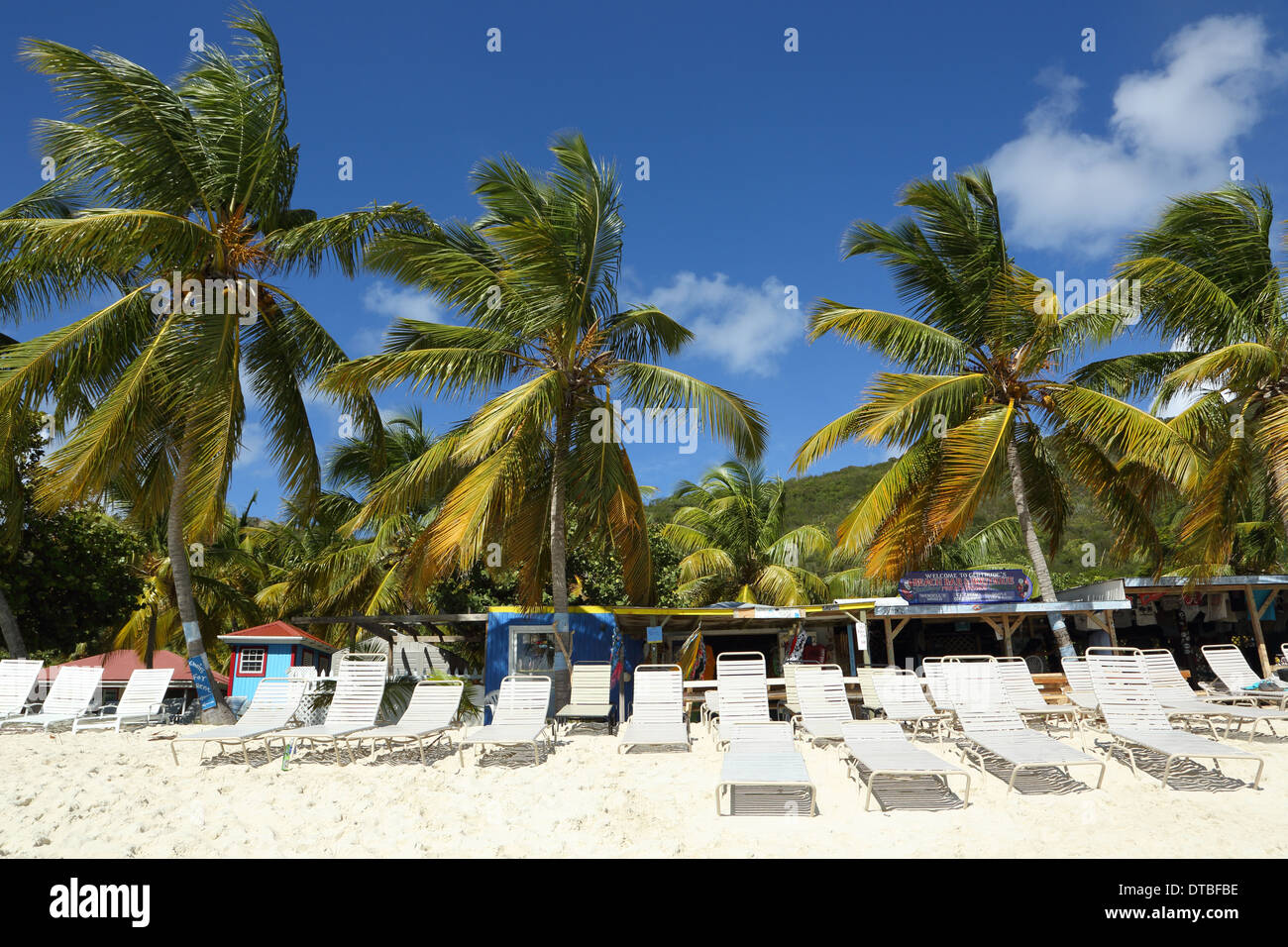 Alberi di palma su una spiaggia di sabbia con cielo blu Foto Stock