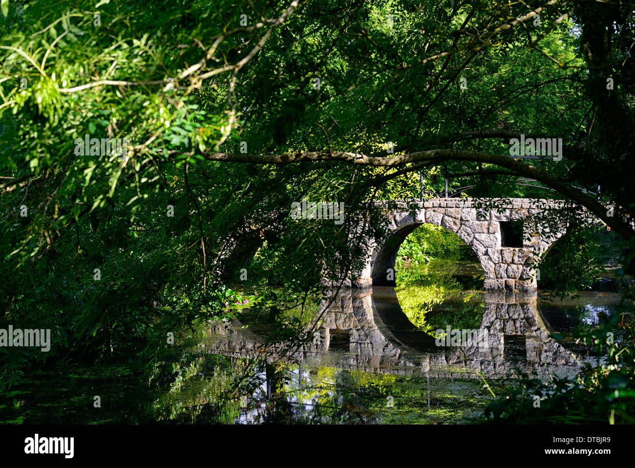 Stone il ponte di arco riflesso perfetto telaio incorniciato ramo di albero di conifere stagno lago altamont gardens carlow Foto Stock