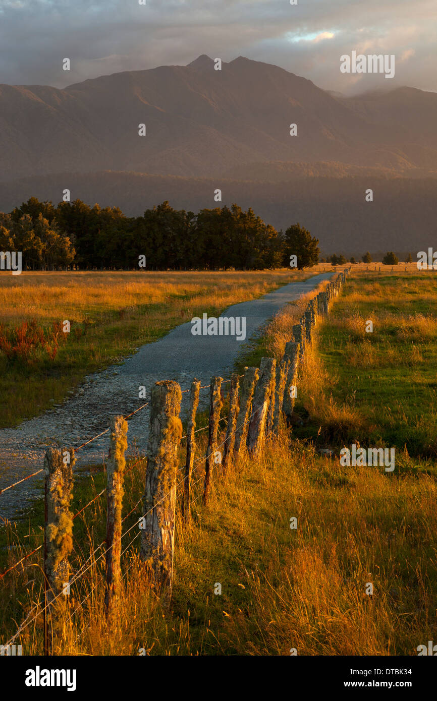 I terreni agricoli e via nel tardo pomeriggio di luce, vicino ghiacciaio Fox, alpi del sud, Isola del Sud, Nuova Zelanda Foto Stock