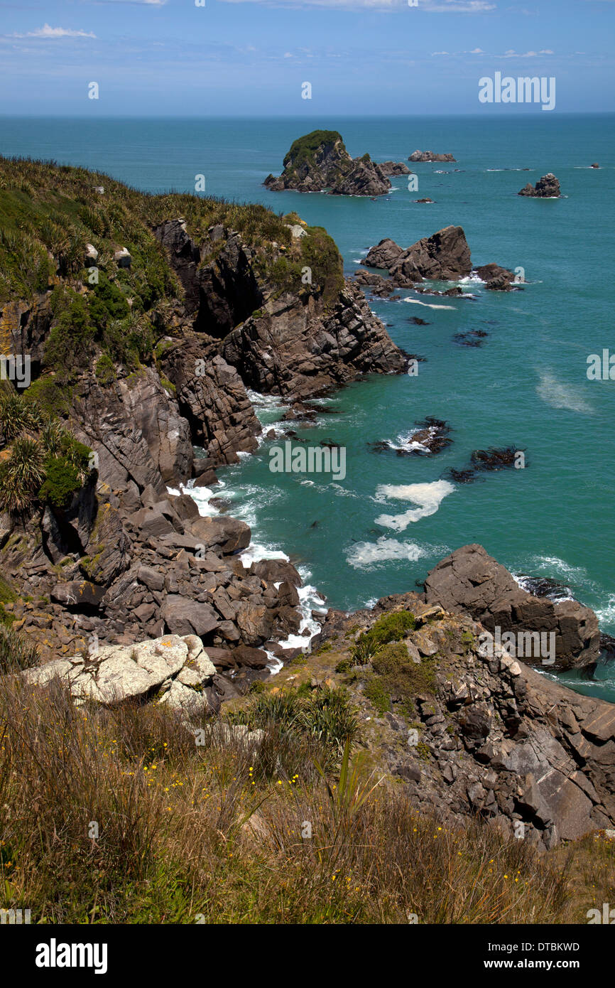 Cape Foulwind, Westport, nella costa occidentale dell'Isola del Sud, Nuova Zelanda Foto Stock