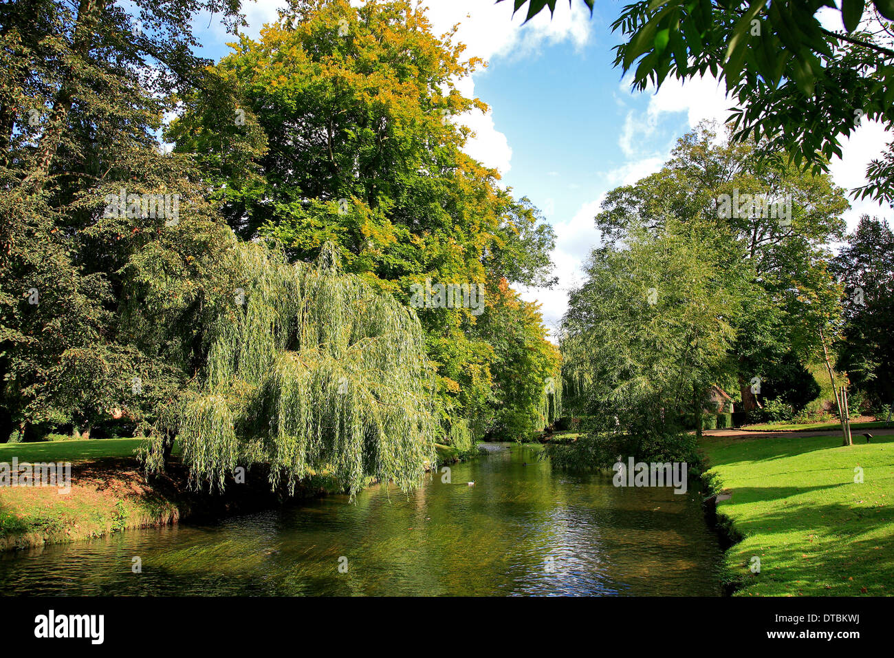 Fiume Lea, Hertford town, Hertfordshire County, England, Regno Unito Foto Stock