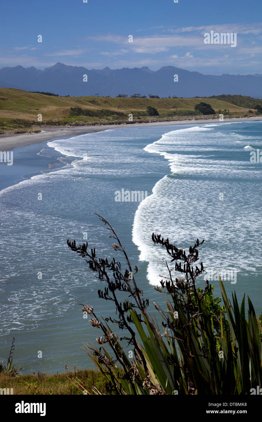 Tauranga Bay. Cape Foulwind, Westport, Isola del Sud, Nuova Zelanda Foto Stock
