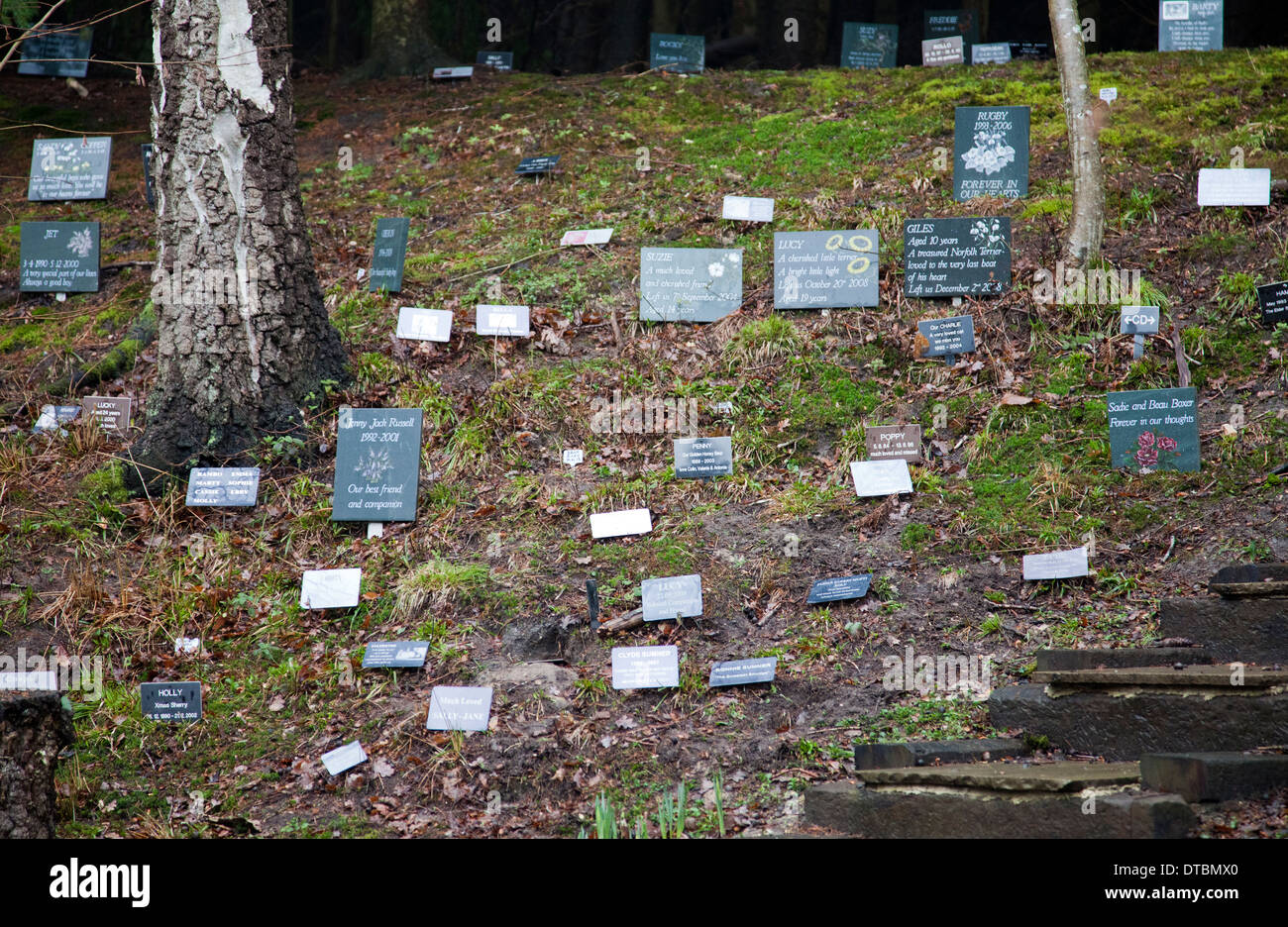 Dignità Pet crematorio e motivi del cimitero con tributi in Hampshire - REGNO UNITO Foto Stock