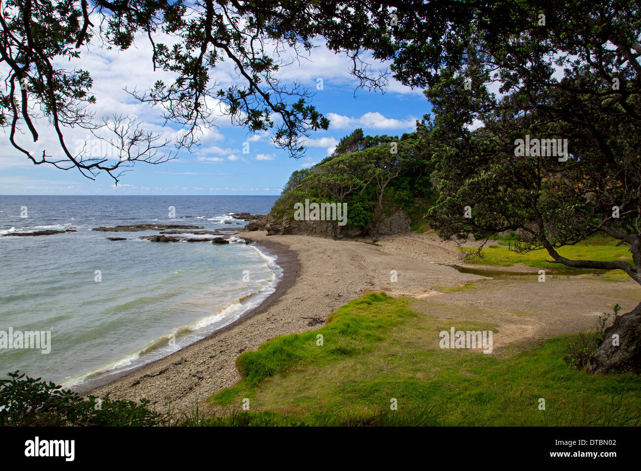 Whitianga Bay, Baia di Planty, east cape, Isola del nord, Nuova Zelanda Foto Stock