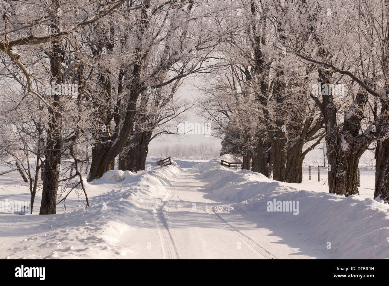 Coperta di neve farm vialetto in un freddo gelido inverno del giorno Foto Stock