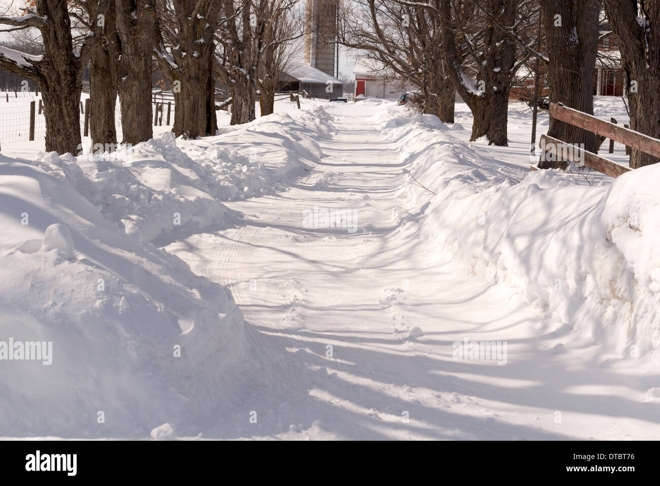 Coperta di neve farm viale con grandi derive su entrambi i lati Foto Stock