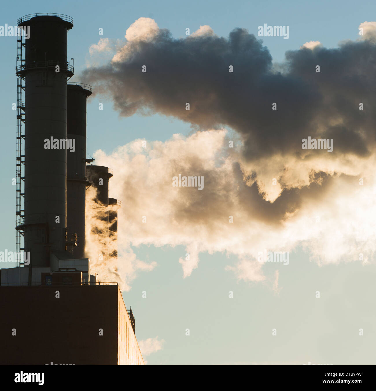 Close up di fumo di pile, New York, Stati Uniti d'America Foto Stock