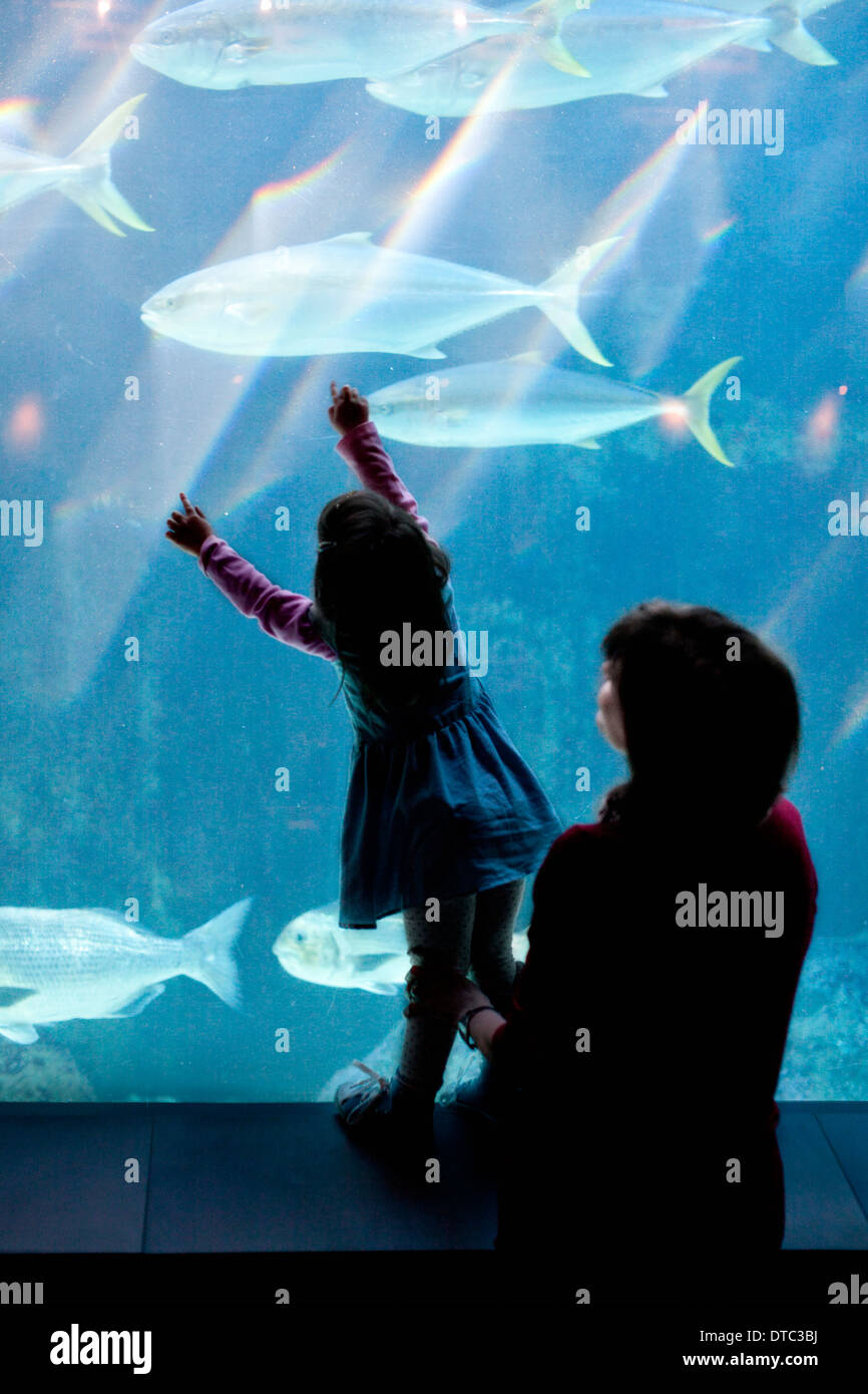 Ragazza giovane e nonna cercando di pesce in acquario Foto Stock