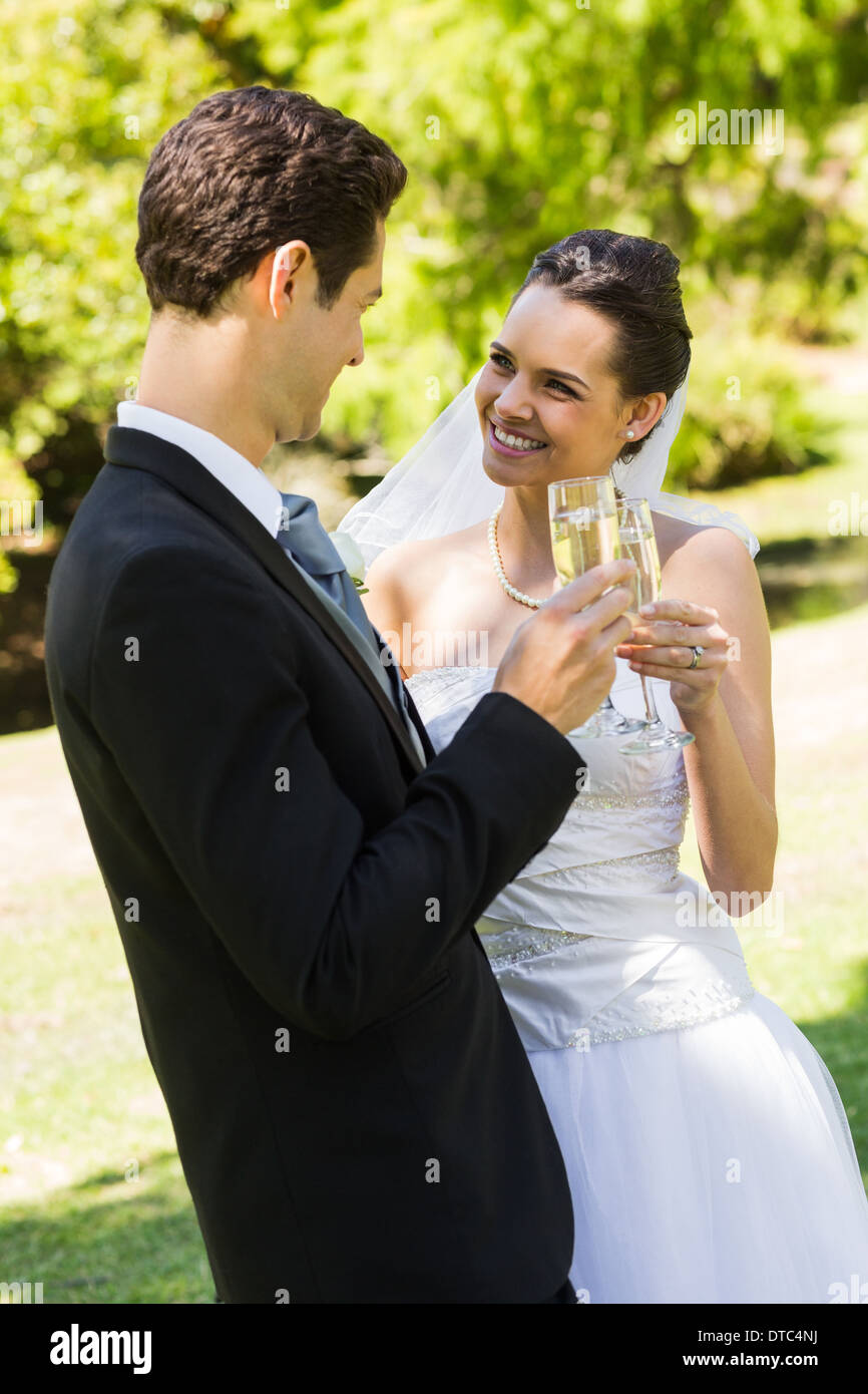 Sposa tostatura flauti di champagne presso il park Foto Stock