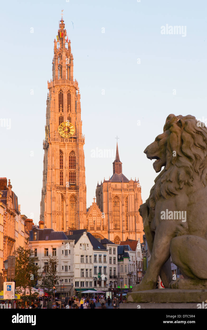 Anversa, Belgio - 4 Settembre 2013: Cattedrale di Nostra Signora con la statua del leone e Suikerrui street in sera Foto Stock