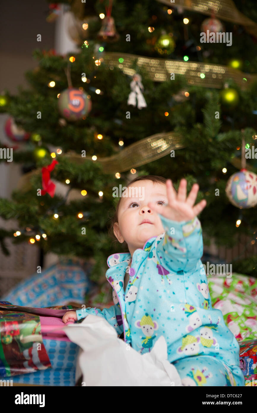 Baby girl raggiungendo fino, l'albero di natale in background Foto Stock