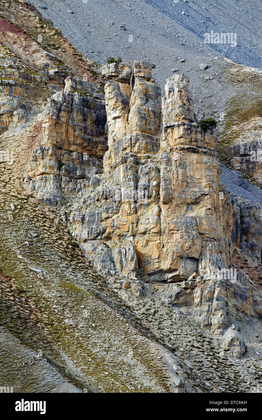 Le formazioni rocciose a Val Mingèr, Parco Nazionale Svizzero a Graubünden / Grisons nelle Alpi, Svizzera Foto Stock