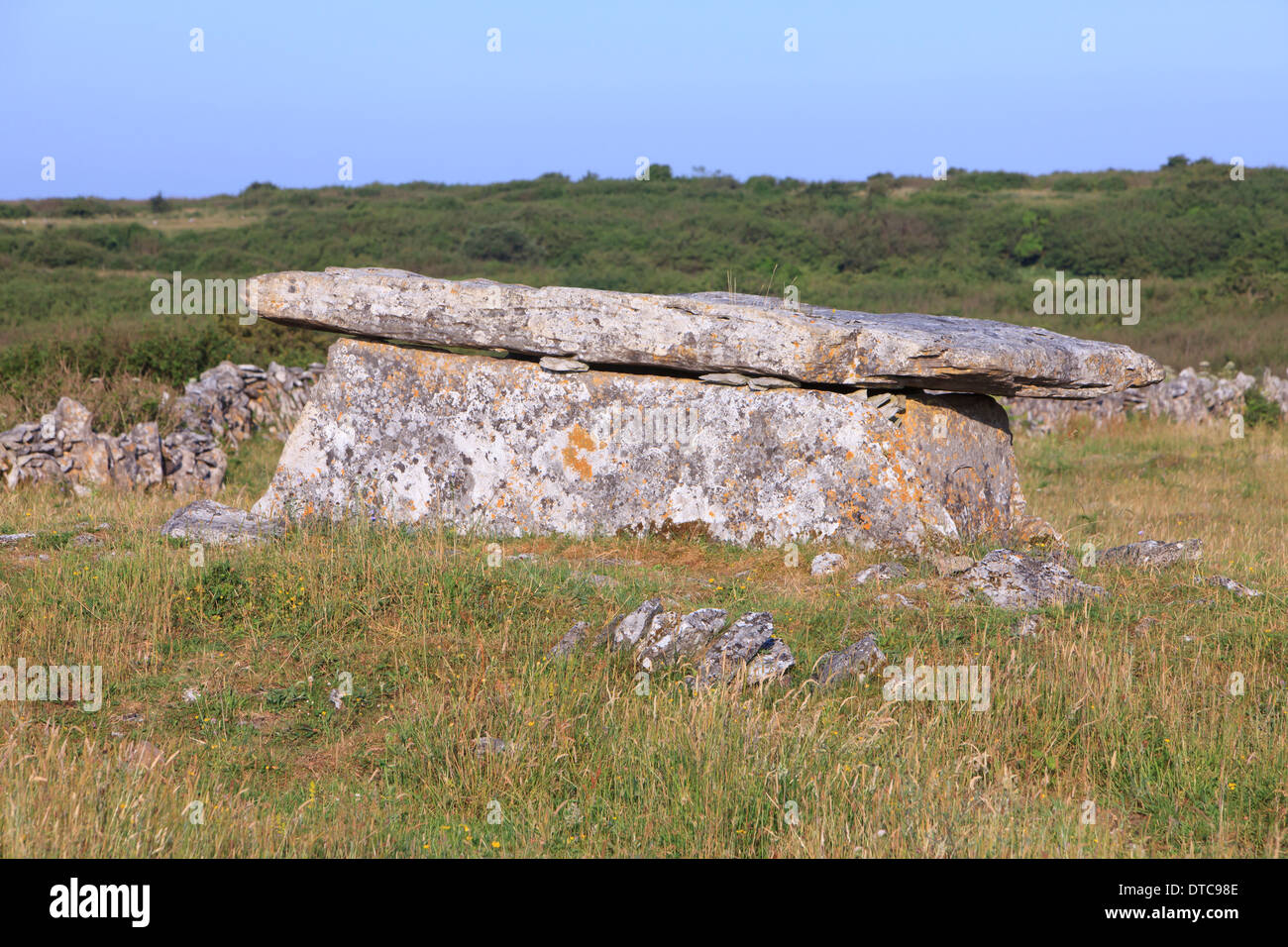 Un cuneo del Neolitico tomba del Burren nella contea di Clare, Irlanda Foto Stock