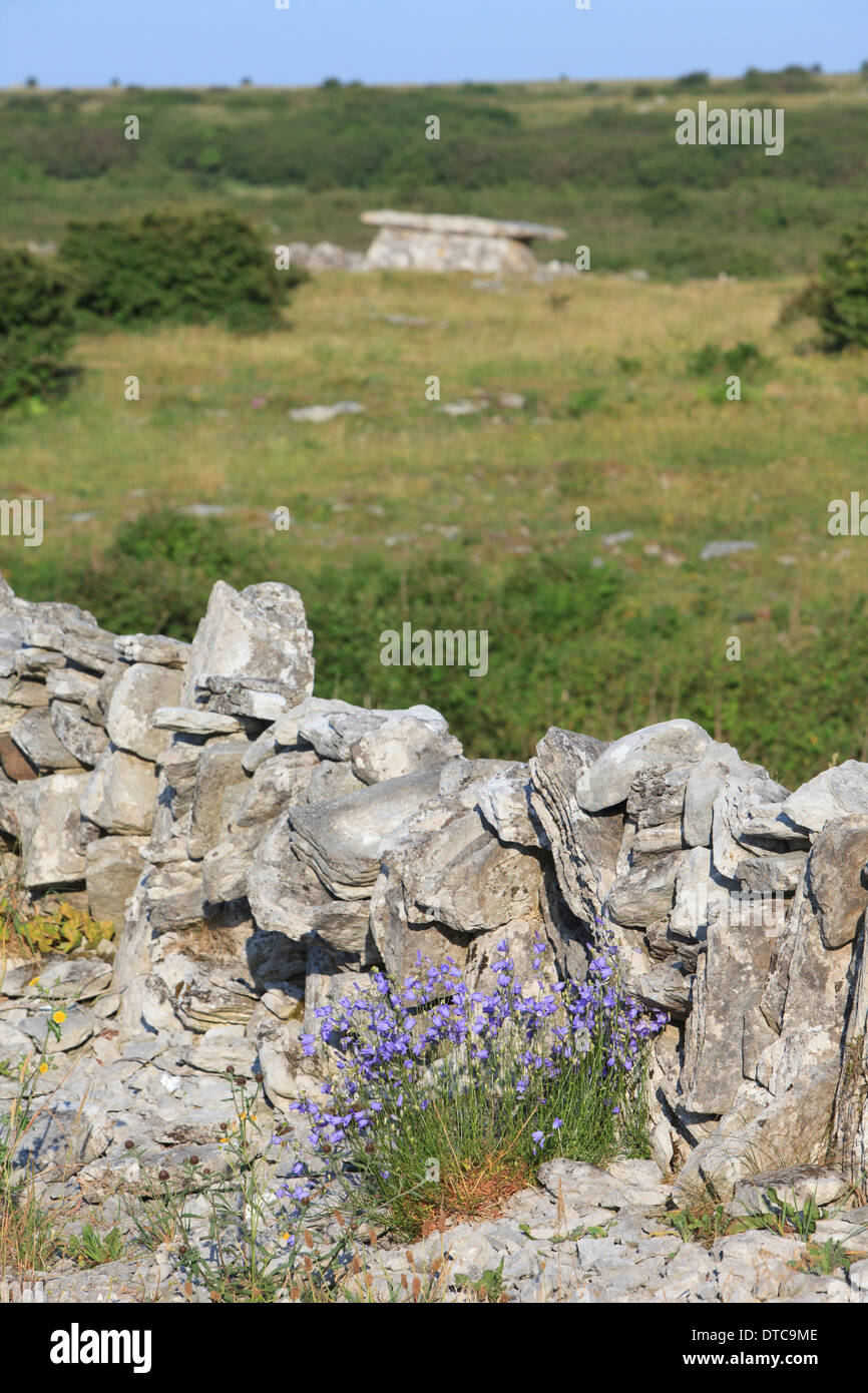 Tomba a cuneo nella contea di Clare, Irlanda Foto Stock
