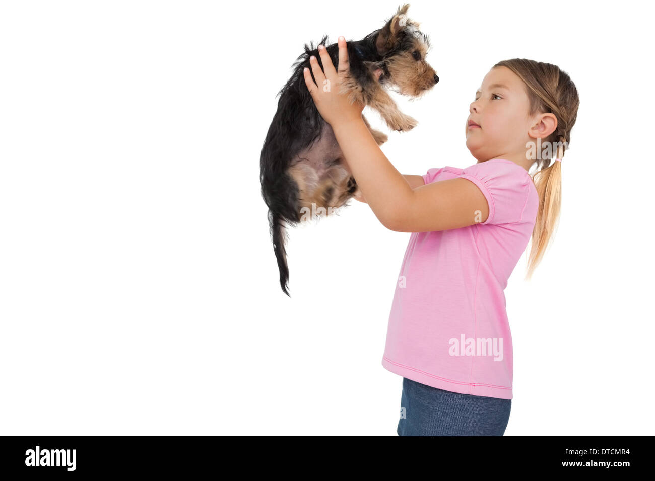 Bambina sollevamento Yorkshire terrier cucciolo Foto Stock