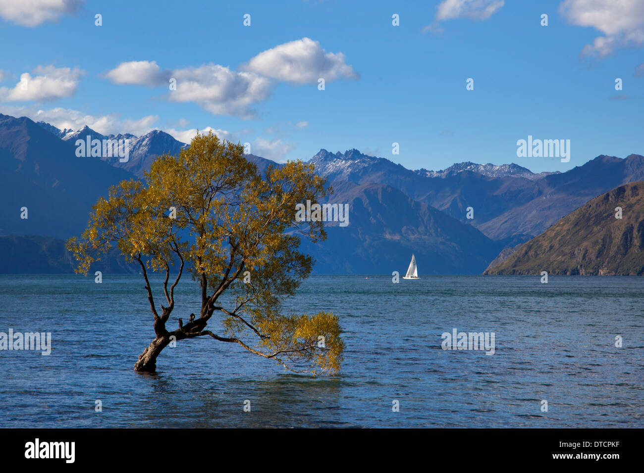 Barche a vela sul lago Wanaka, Wanaka, Isola del Sud, Nuova Zelanda Foto Stock