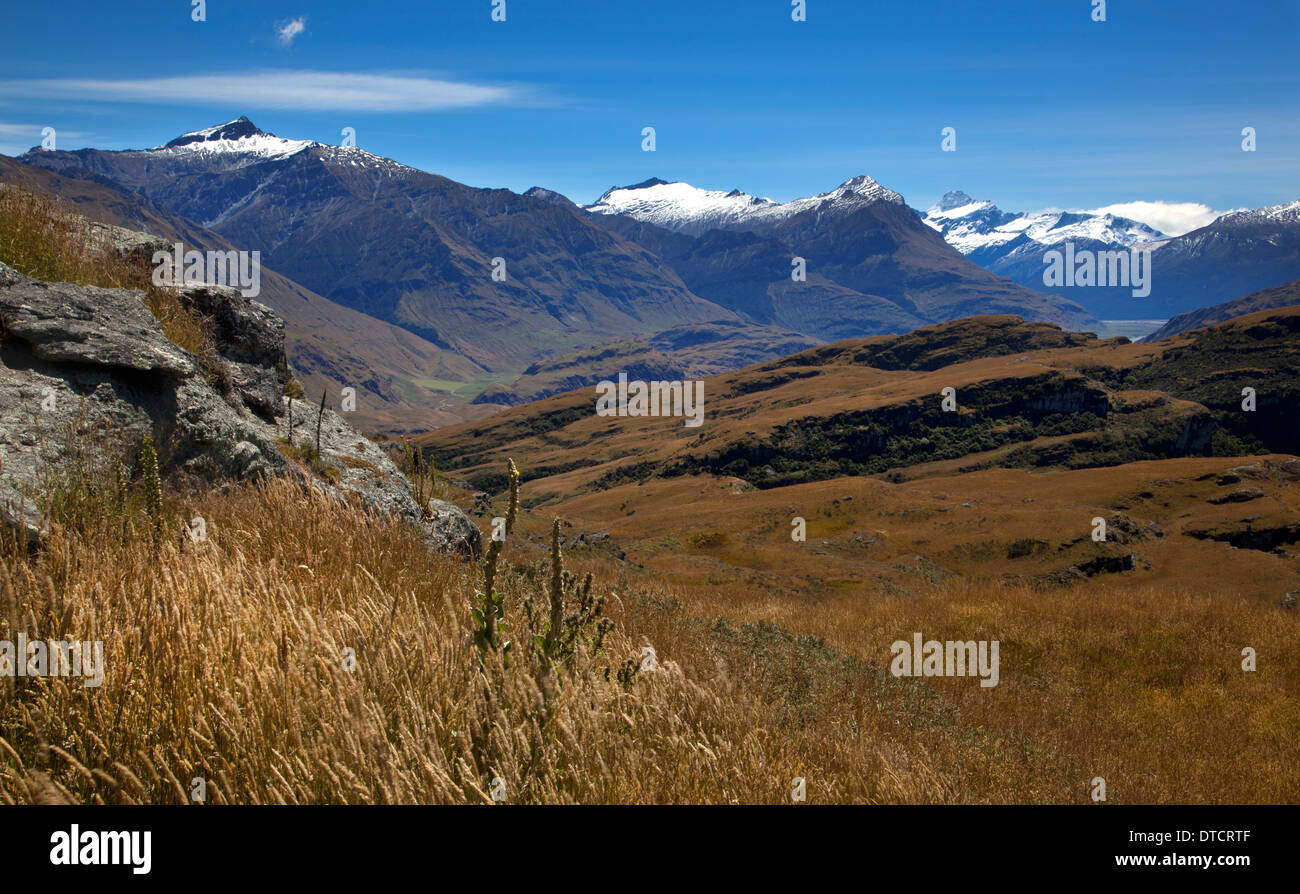 Vista verso il monte aspiranti vicino a Wanaka, Isola del Sud, Nuova Zelanda Foto Stock